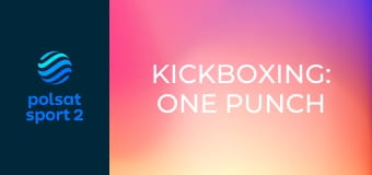 Kickboxing: One Punch