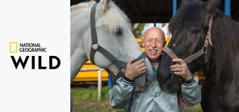 Niezwykły dr Pol S8E17 - Świnki w deszczu