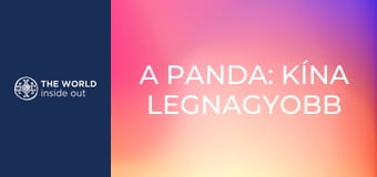A panda: Kína legnagyobb kincse. Élet egy hegyi faluban. Kína.