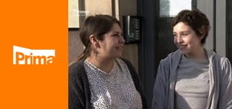 Jak se staví sen - extra