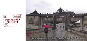 Париж - Шанз Елизе, Парфюми, история