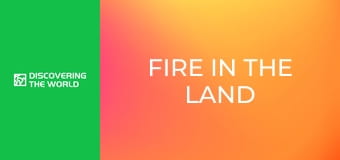 Fire in the Land of Snow: Self-Immolations in Tibet