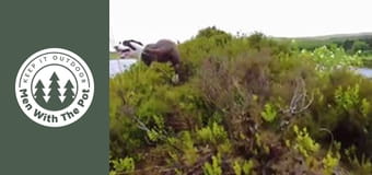 Епично пържено пиле