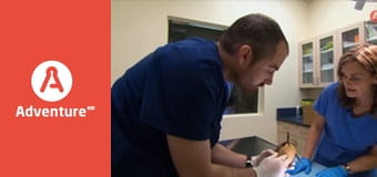 Pogotowie dzikich zwierząt E5