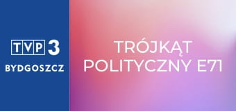 Trójkąt polityczny E71