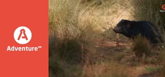 Mój najlepszy zwierzoprzyjaciel E3