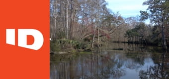 Smrt v močálu: 8 z Jenningsu S1E2 - 8 z Jenningsu : / 4. díl