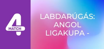 Labdarúgás: Angol Ligakupa - Döntő: Arsenal – Manchester City