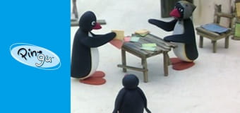Pingu Sezon 3 Odcinek 21