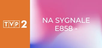 Na sygnale E858 - Defekt układu limbicznego