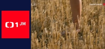 Kuchařská pohotovost - Poussin – kuřátko jako dlaň