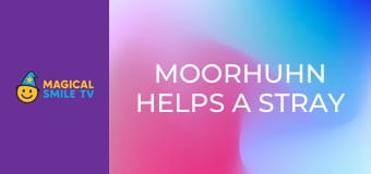 Moorhuhn Helps a Stray Moorhuhn Helps a Stray