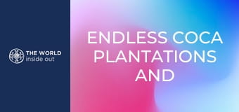 Végtelen kokacserje-ültetvények és nyárson sült tengerimalac. Bolívia.