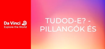 Tudod-e? - Pillangók és tapéta