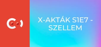 X-akták S1E7 - Szellem a computerben