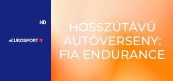 Hosszútávú autóverseny: FIA Endurance Világbajnokság, magazin