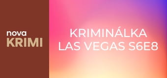 Kriminálka Las Vegas S6E8 - Letí tudy střela 2. část