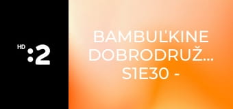 Bambuľkine dobrodružstvá S1E30 - Narodeniny