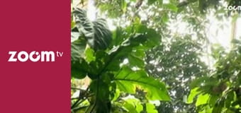 Wojciech Cejrowski - boso przez świat S1E20 - Zupa z małpy