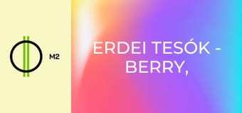 Erdei tesók - Berry, a szeszélyes hercegnő