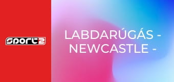Labdarúgás - Newcastle - Barcelona