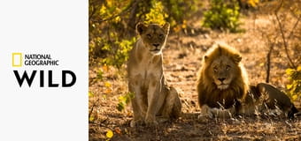 Linie predátorů S1E3 - Sesterstvo