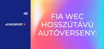 FIA WEC Hosszútávú autóverseny: Világbajnokság Bahrein 8h - Összefoglaló