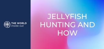 Medúzavadászat és a medúza elkészítési módjai. Kína.