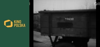 Polska Kronika Filmowa 01/55