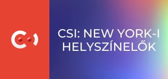 CSI: New York-i helyszínelők S9E8 - Fájdalmas múlt
