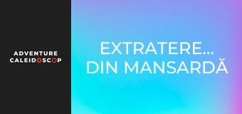 Extratereștrii din mansardă