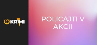 Policajti v akcii