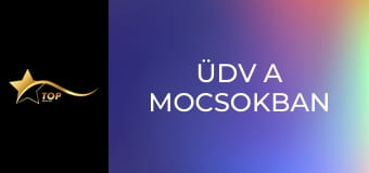 Üdv a mocsokban Üdv a mocsokban