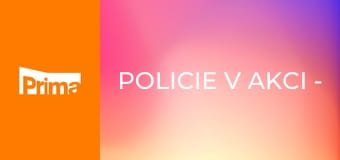 Policie v akci - Exekutor / Senior a dva rváči / Cigáni v limuzíně / Rvačka pro internet
