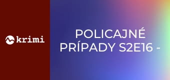 Policajné prípady S2E16 - Výtržníci, Tehotenstvo, Exhibicionista, Unesené dieťa