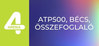 ATP500, Bécs, összefoglaló ATP500, Bécs, összefoglaló