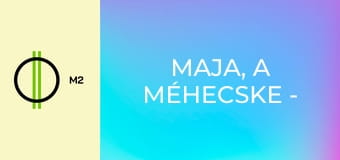 Maja, a méhecske - Galacsin galiba