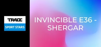 Invincible E36 - Shergar