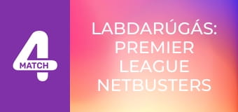 Labdarúgás: Premier League Netbusters