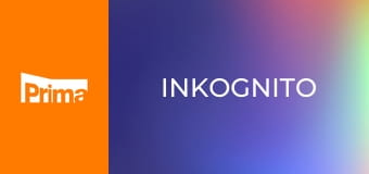 Inkognito