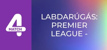 Labdarúgás: Premier League - Brighton – Arsenal