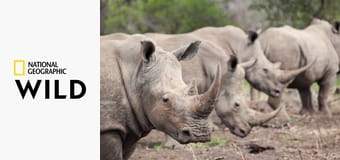 Dzika Afryka Południowa S1E2 - Kraina olbrzymów