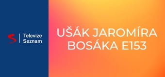Ušák Jaromíra Bosáka E153 - Robert Kružík