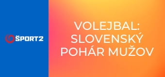 Volejbal: Slovenský pohár mužov