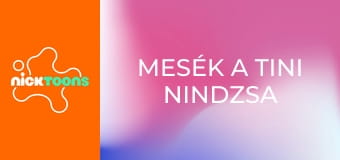 Mesék a tini nindzsa teknőcökről S1E2 - Mikey helyesen cselekszik