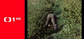 Všichni dobří rodáci