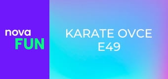 Karate ovce E49
