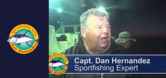 Freelance - Twilight