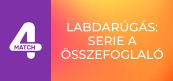 Labdarúgás: Serie A összefoglaló - 28. forduló