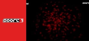 ONE - Roman Krklija - Samet Agdeve, ONE Fight Night 37, Bangkok, ism., HD